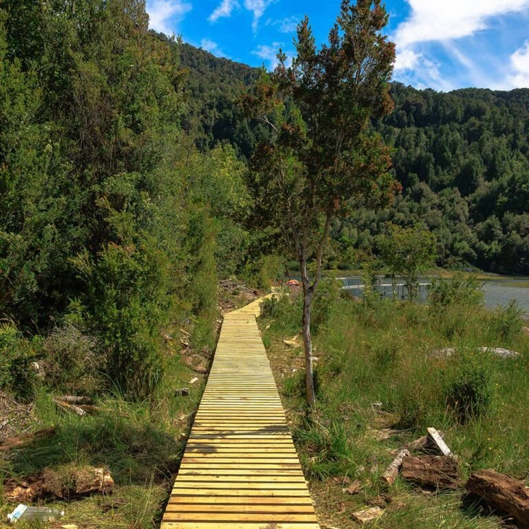 camino_aldunate_renata